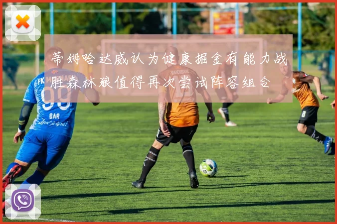 蒂姆哈达威认为健康掘金有能力战胜森林狼值得再次尝试阵容组合